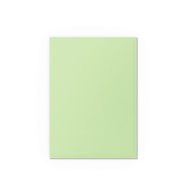Dragon Shield Sleeves - Dual Matte Gooseberry