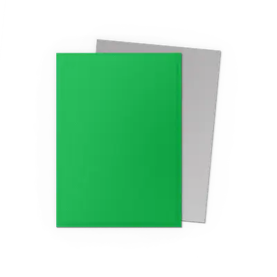Dragon Shield Sleeves - Dual Matte Apple Green & Silver